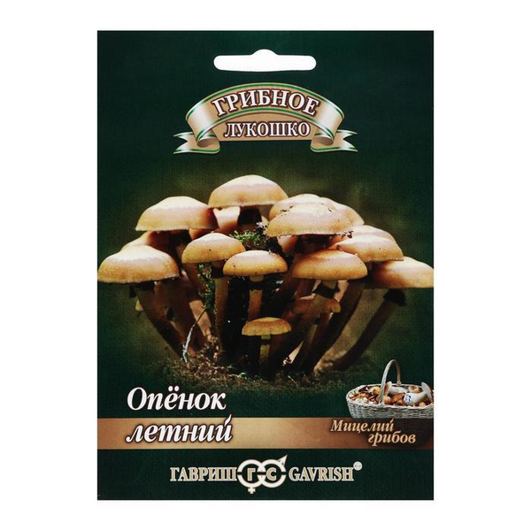 Семена Белых Грибов Для Выращивания Купить