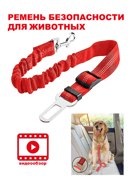 Инструменты для изготовления собачьего ошейника | Pet Hardware®