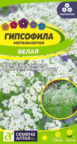 Гипсофилы многолетние Семена Алтая Гипсофилы многолетние - купить по ...