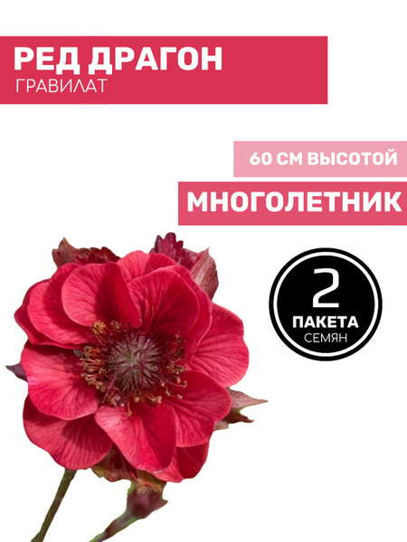 Гравилат, Гравилаты Русский огород 91504320 - купить по выгодным ценам ...