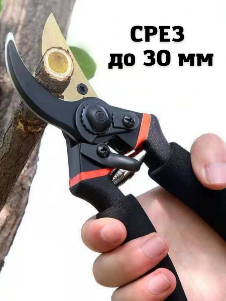 Сучкорез Профессиональный садовый для подрезки деревьев - купить по ...