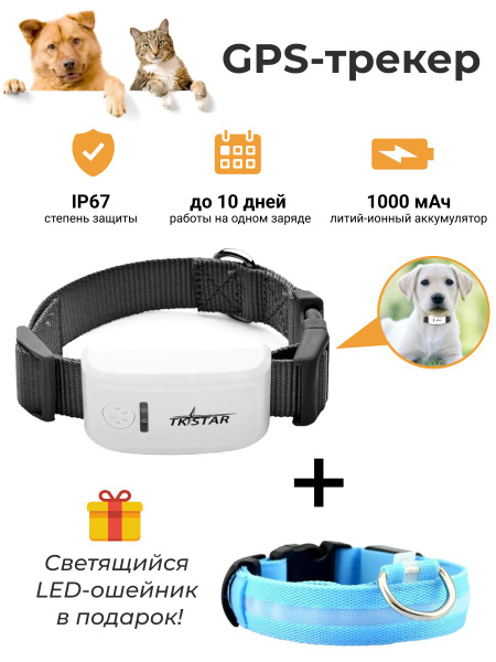 GPS-трекер для питомца Lady cosmetic1 Трекер//, с GPS купить по ...