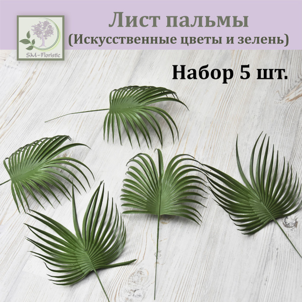 Купить Лист пальмы 5 шт. / Листья для декора / Зелень искусственная по ...