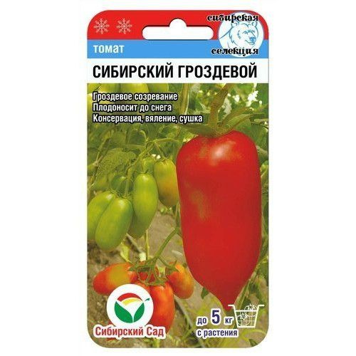 Томаты гроздевой описание сорта фото отзывы
