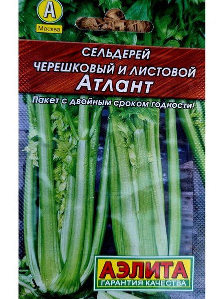 Сельдерей Агрофирма Аэлита сельдерей5 - купить по выгодным ценам в ...