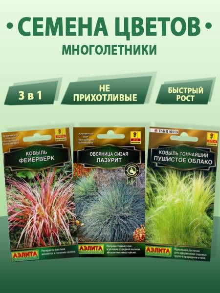 Овсяница, Ковыль Аэлита сухоцветы 3 уп. - купить по выгодным ценам в ...