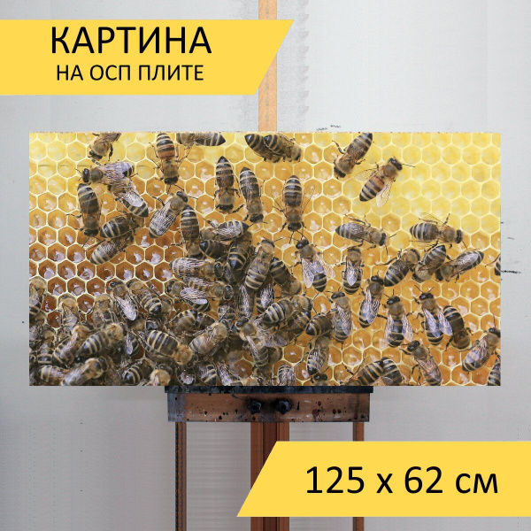 Картина "Пчелы, соты, пчеловод" для интерьера на стену / Декор в дома ...