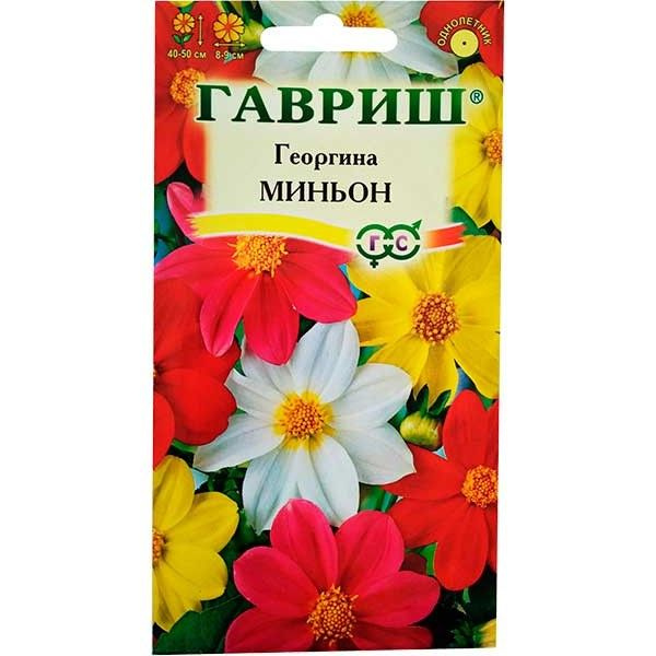 Георгины, Георгины однолетние 1Цветы2108_2_Георгина Миньон - купить по ...