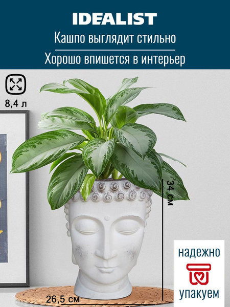 Кашпо голова, горшок для цветов, цветочный горшок Голова Будды, Д26,5 ...