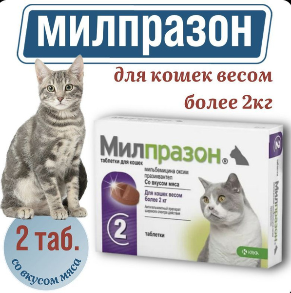 Милпразон цена для кошек