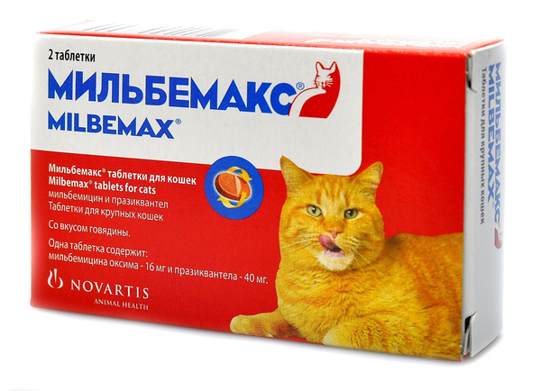 Таблетки от глистов кошкам
