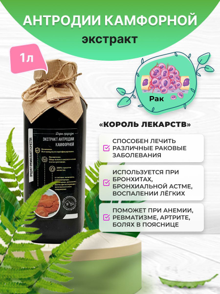 Экстракт Антродии камфорной 1000 мл, LYMON - купить с доставкой по ...