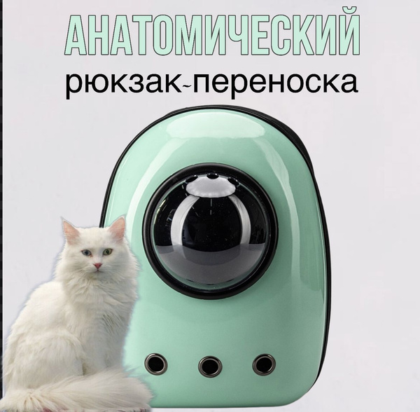 Рюкзак-переноска/ иллюминатор для кошек и собак, лагуна купить на OZON ...