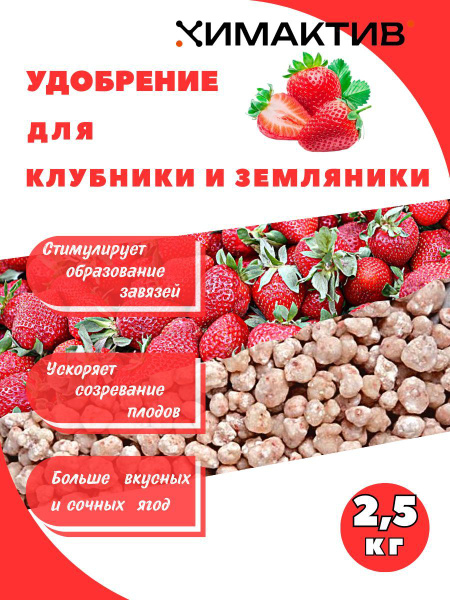 Удобрение для клубники и земляники 2,5кг Химактив Д - купить с ...
