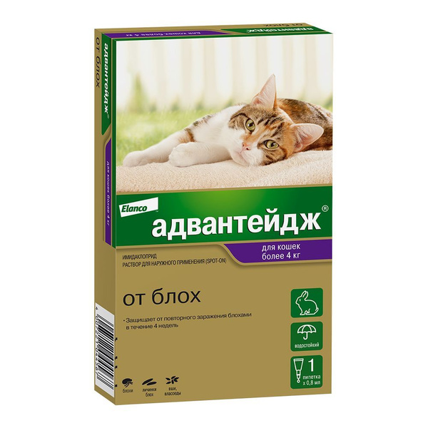 Адвантейдж капли на холку от блох для кошек более 4 кг. 1 пипетка в ...