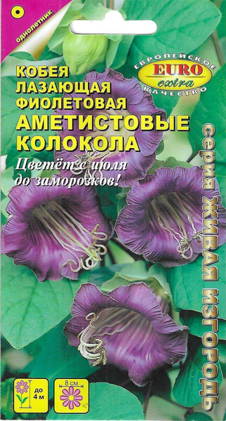 Кобея АЭЛИТА экстра Кобея Аметистовые колокола - купить по выгодным ...