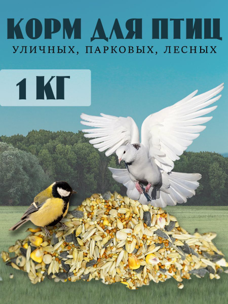 Корм для птиц уличных, лесных в кормушку 1 кг - купить с доставкой по ...