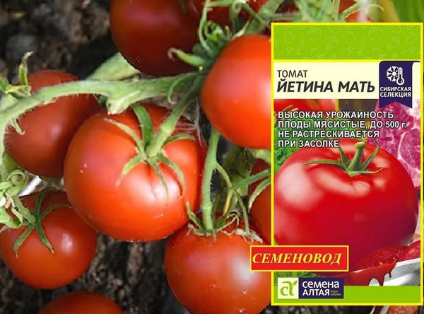 Томаты Семена Алтая Алтай - купить по выгодным ценам в интернет ...