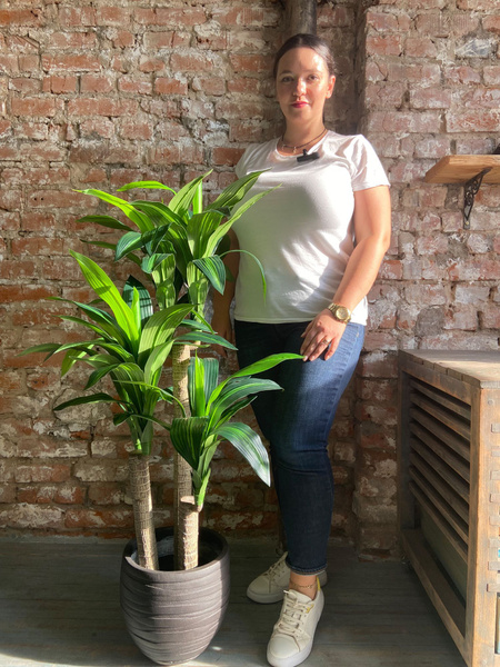 Купить Искусственный цветок дерево Драцена Фрагранс 120см по выгодной ...