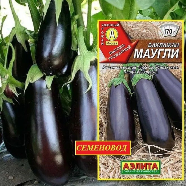 Баклажаны Аэлита Баклажан__Маугли - купить по выгодным ценам в интернет ...