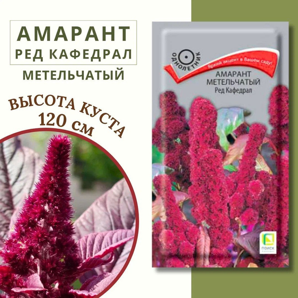 Амаранты ПОИСК Агрохолдинг amarant_бордовый_красный_зеленый - купить по ...