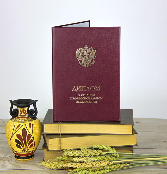 Диплом о среднем профессиональном образовании, бордовая обложка ...