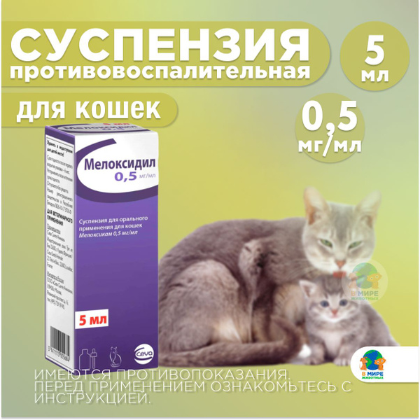 Мелоксидил для кошек