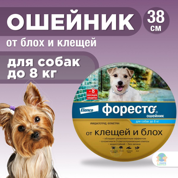 Ошейник от блох и клещей Форесто для собак до 8кг - купить с доставкой ...