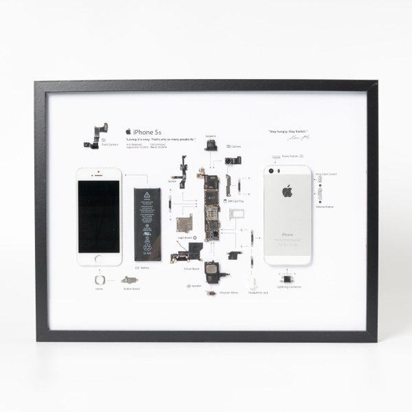 Картина разобранный iPhone 5s Silver в рамке /инсталляция/ стенд купить ...