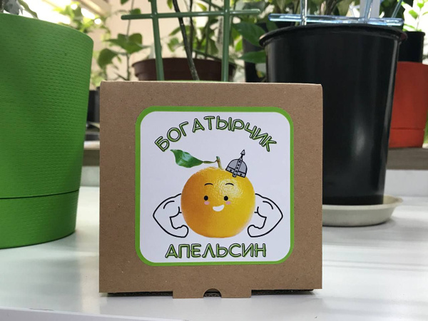 Набор для выращивания, Многолетник купить по выгодной цене в интернет ...