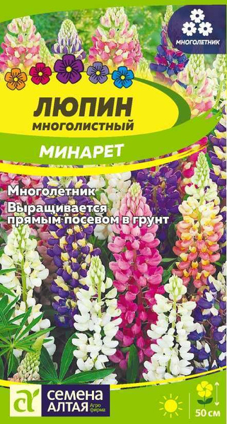 Люпин, Люпины многолетние Семена Алтая Цветы_Люпин многолистный Минарет ...
