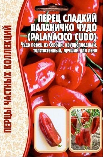 Перец Редкие семена Перец Паланичко Чудо 10 шт - купить по выгодным ценам в инте