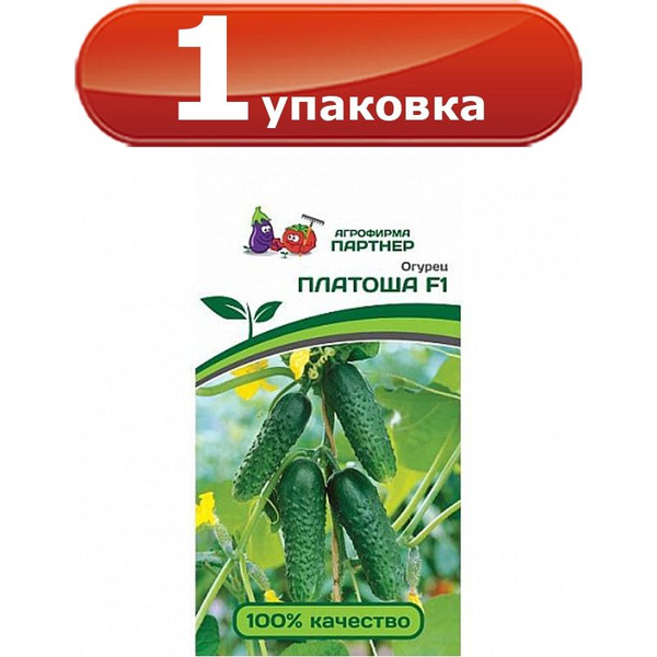 Огурцы партенокарпические лучшие сорта: найдено 88 изображений
