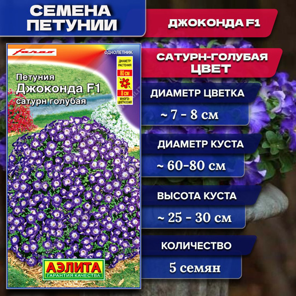Петунии Аэлита Джоконда - купить по выгодным ценам в интернет-магазине ...