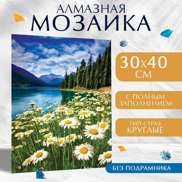 Алмазная мозаика "Ромашковое поле" на холсте 30х40 см с полным ...