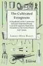 The Cultivated Evergreens - A Handbook of the Coniferous and most Important Broad-Leaved Evergreens Planted for Ornament in the United States and Canada - L. H. Bailey