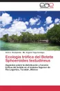 Ecologia Trofica del Botete Sphoeroides Testudineus - Chi-Espinola Ariel a., Vega-Cendejas Ma Eugenia