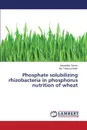 Phosphate Solubilizing Rhizobacteria in Phosphorus Nutrition of Wheat - Sarker Aniruddha, Islam MD Tofazzal
