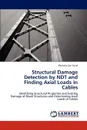 Structural Damage Detection by Ndt and Finding Axial Loads in Cables - Mustafa Can Y. Cel, Mustafa Can Yucel