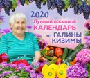 Настенный лунный посевной календарь 2020 от Галины Кизимы - Кизима Галина Александровна