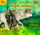 Темный травник. Тестировщик игровых сценариев - Атаманов Михаил Александрович