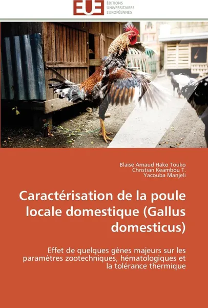 Обложка книги Caracterisation de la poule locale domestique (gallus domesticus), Collectif