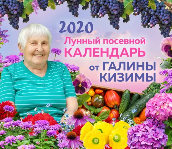 Обложка книги Настенный лунный посевной календарь 2020 от Галины Кизимы, Кизима Галина Александровна