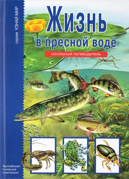 Обложка книги Жизнь в пресной воде. Школьный путеводитель, Афонькин С. Ю.