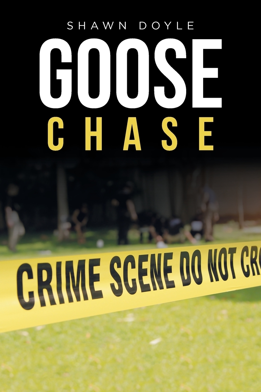 фото Goose Chase