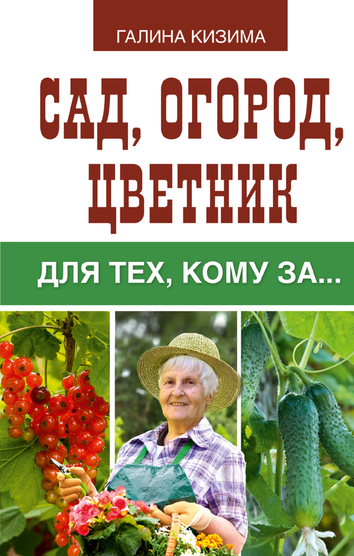 Галина Кизима Книги Купить