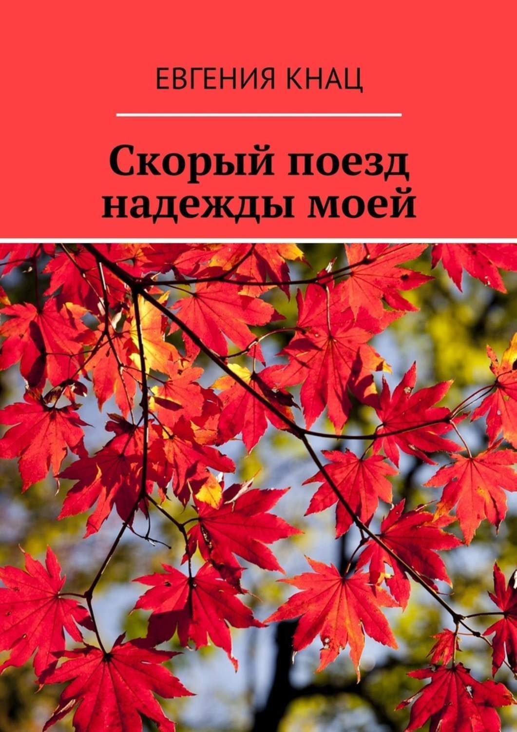 Книги скор. Поезд надежды книга. Кнац е.с.. Купить книгу скорый поезд.