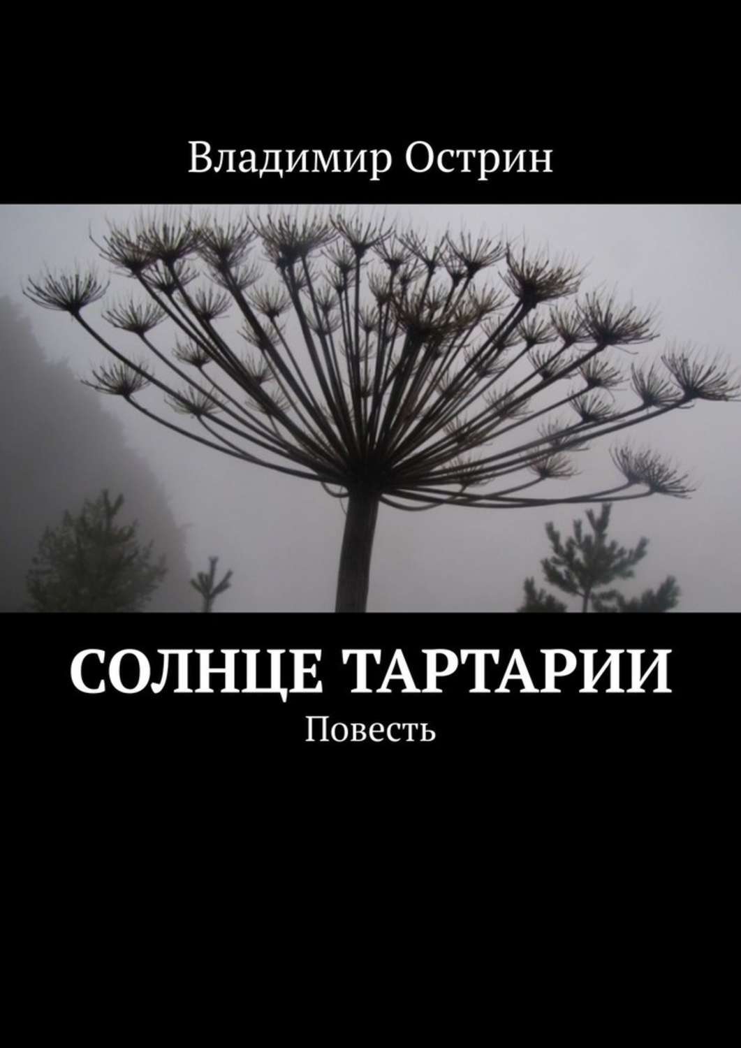 Человек солнца книга. Владимир повесть. Повесть «к солнцу. Владимир листов книги. Солнце и ее цветы книга.