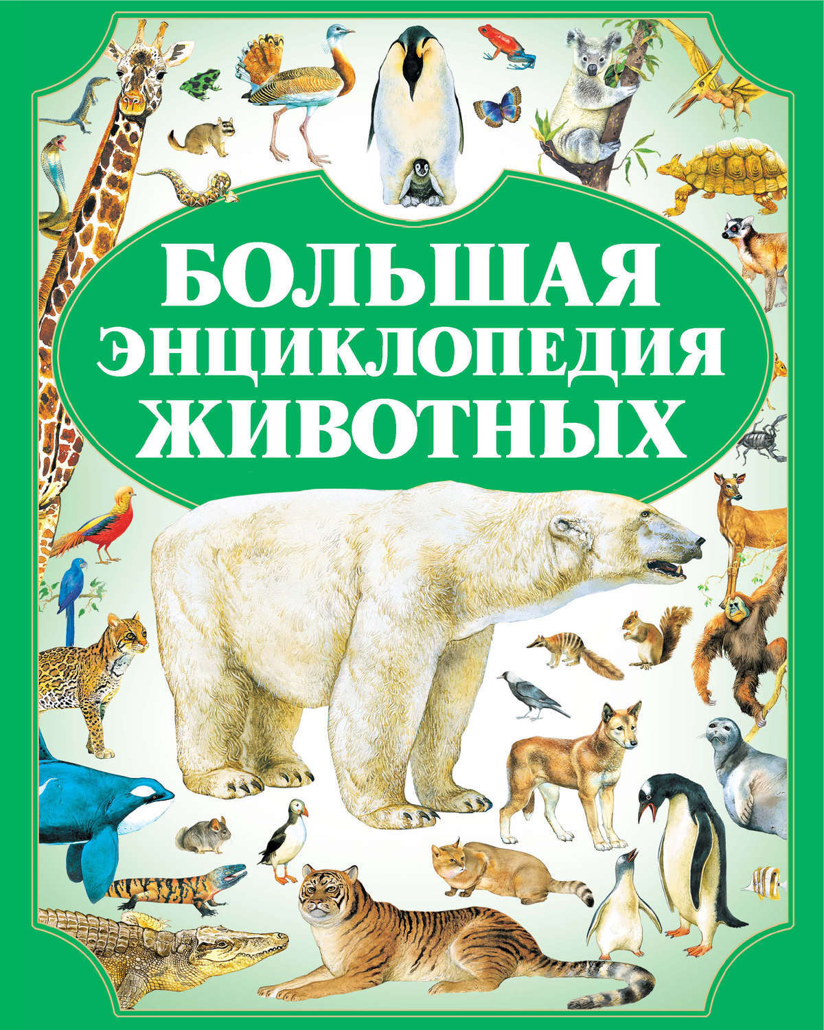 Книга о животных с картинками