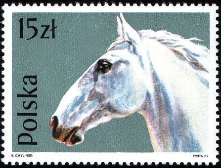 (1989-001) Марка Польша "Липпицианская лошадь" Лошади III гашеная ...